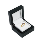 Plastic Box - Z001-169 Collection